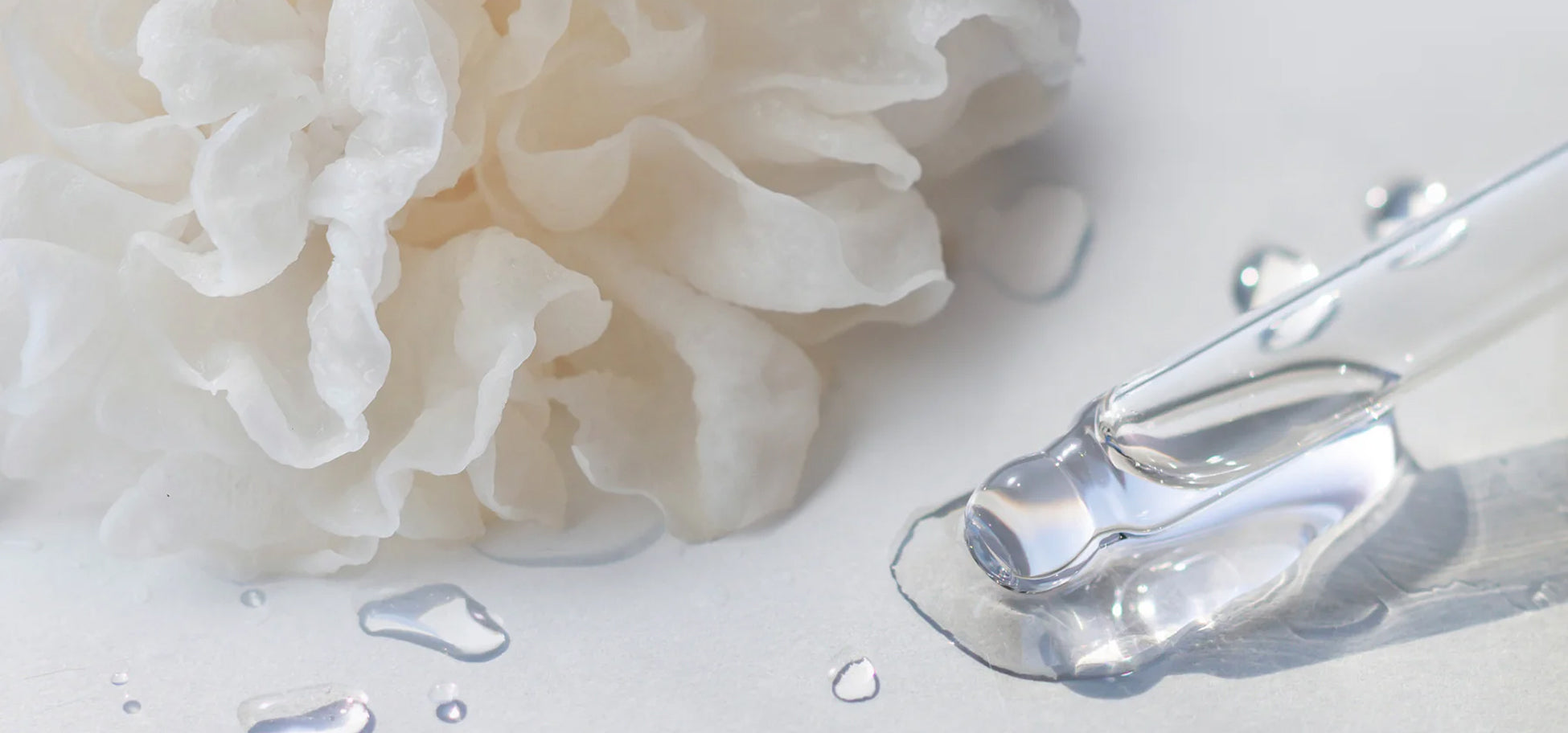 Snow Mushroom Extract