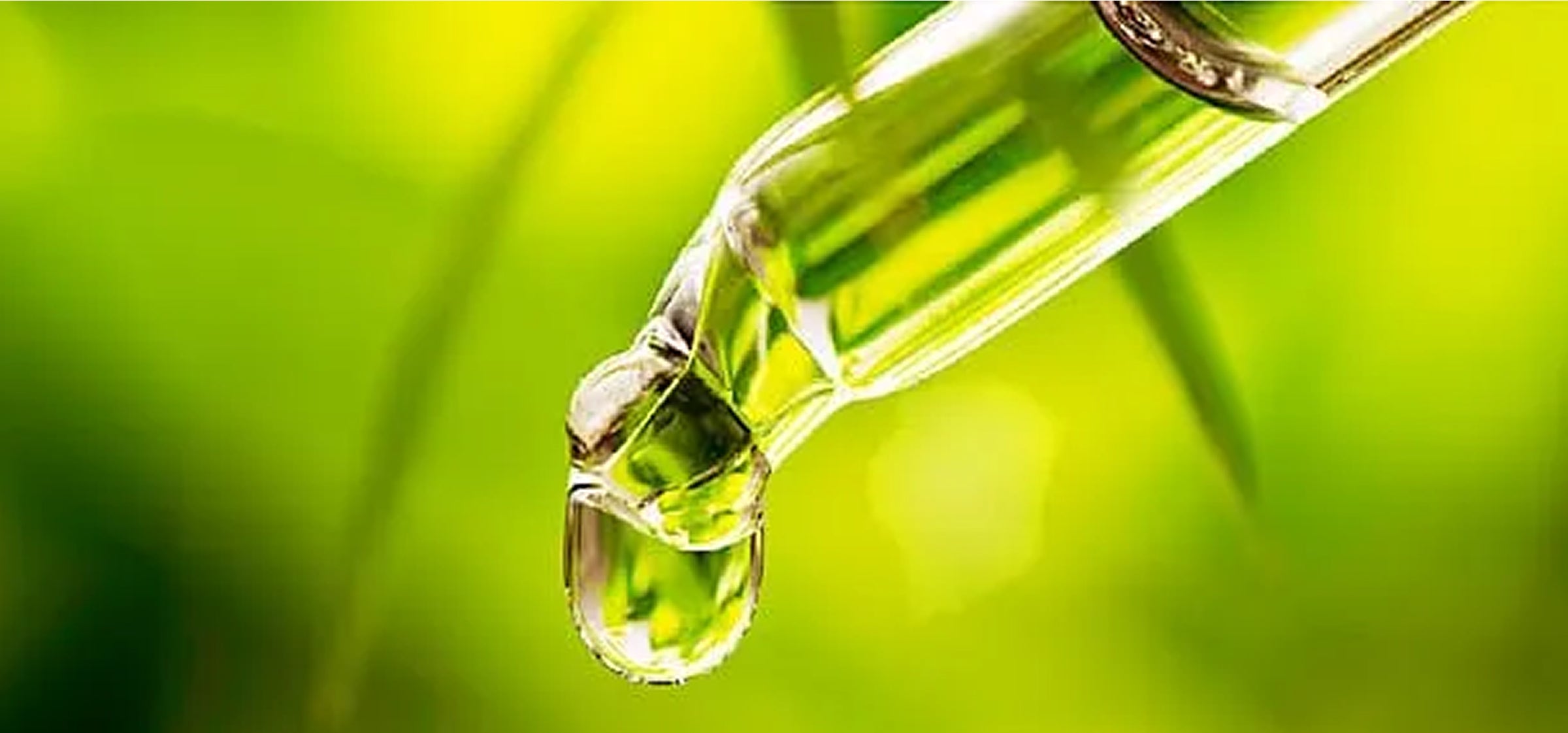 Moringa, Marula & Argan Oils